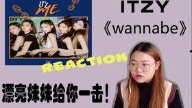 国产wannabe视频,揭秘本土模仿秀的崛起与魅力