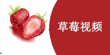 草莓视频色版免费国产,免费国产生态下的色版魅力探索